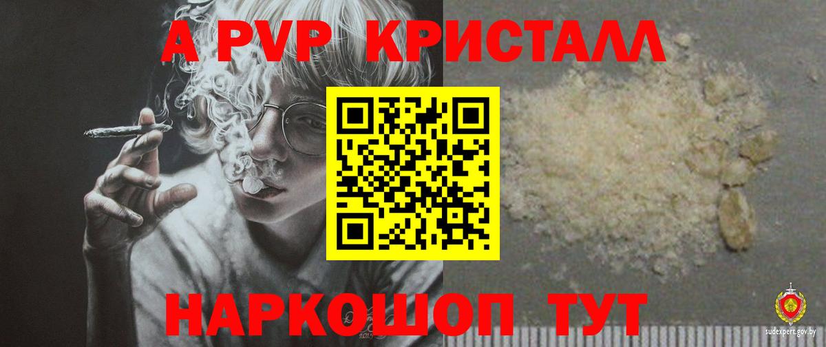 Альфа ПВП СК Геленджик
