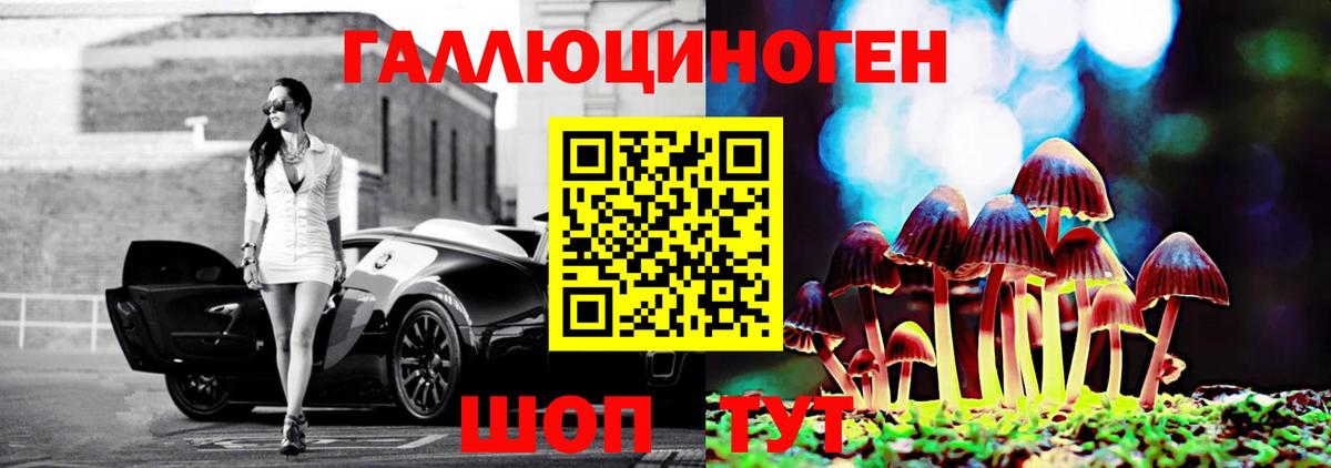Геленджик  где купить наркотик  Вход с VPN  Галлюциногенные грибы прущие грибы  Галлюциногенные грибы прущие грибы 