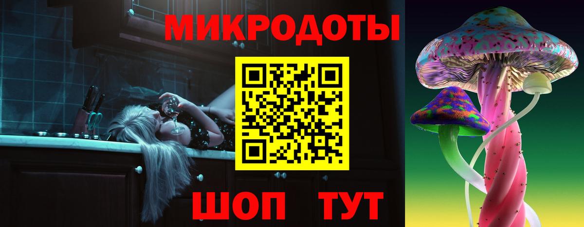 Галлюциногенные грибы Psilocybe Геленджик